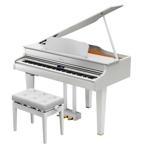 Сервисный центр Roland в Новосибирске