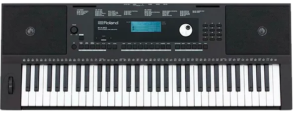 E-X20
